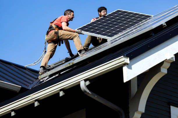 Best Roof Moss and Algae Removal  in Riverdale, UT